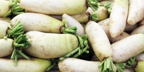 Kada kopati i kako čuvati daikon